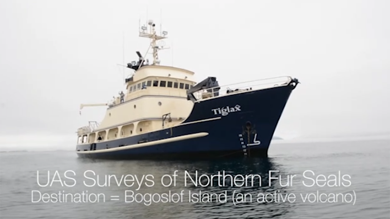 UAS Surveys of Northern Fur Seals (Destination: Bogoslof Island (an active volcano)